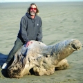 gary-and-turtle-1-12