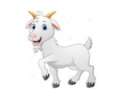 https://web.donmankin.net/theherdstop.com/uploaded-images/goats/cartoon-goat-240x200.jpg