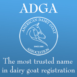 ADGA