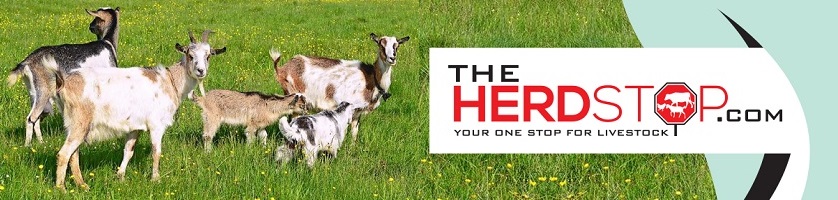 TheHerdStop.com